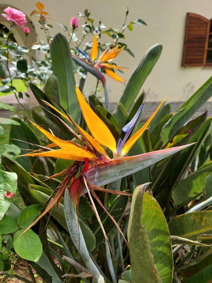 Casa Aconchegante - Circuito Friburgo * Teresopolis